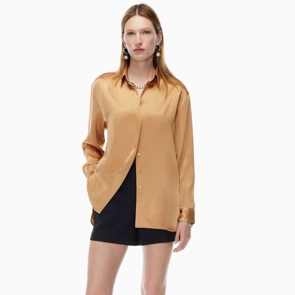 Aritzia Babaton Sable Satin button-up shirt - Picture 2 of 11